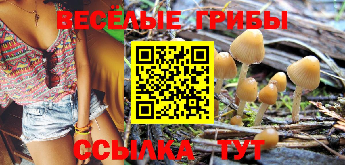 Галлюциногенные грибы мухоморы  Вход с VPN  Псилоцибиновые грибы MAGIC MUSHROOMS  Белогорск 