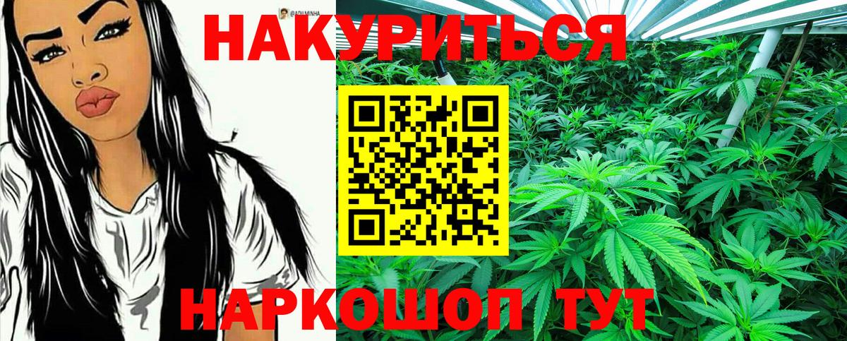 Бошки марихуана Amnesia  МАРИХУАНА планчик  Шишки марихуана планчик  Белогорск  Вход с VPN 